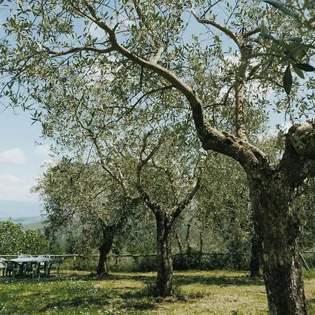 'sofia' Mit Pool By Interhome Διαμέρισμα *