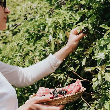 Apartment 'sofia' Mit Pool By Interhome *