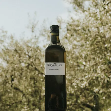 Apartment 'sofia' Mit Pool By Interhome *