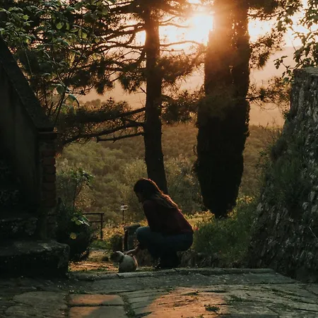 'sofia' Mit Pool By Interhome