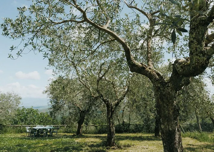 'sofia' Mit Pool By Interhome Apartman *