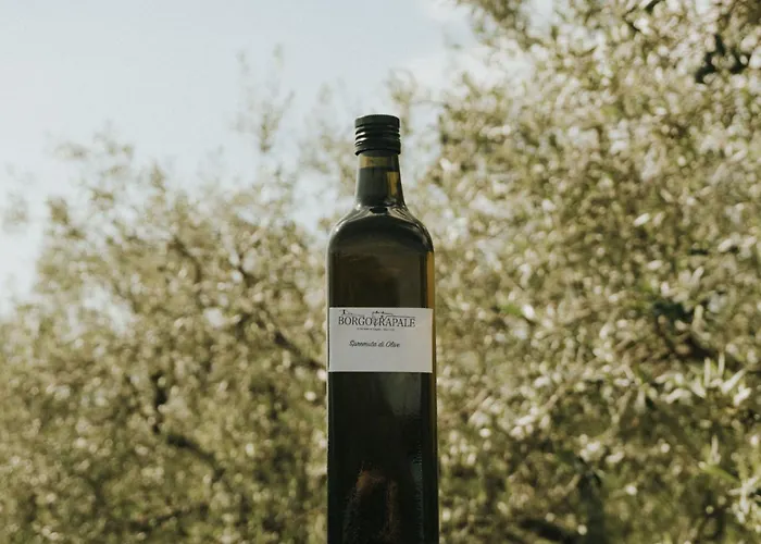 Apartment 'sofia' Mit Pool By Interhome *